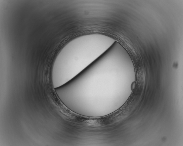 X0000097960406200803241046
