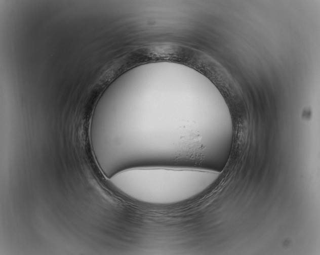 X0000097960408200803241046