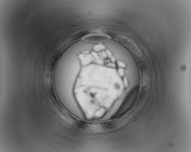 X0000097960409200803241046