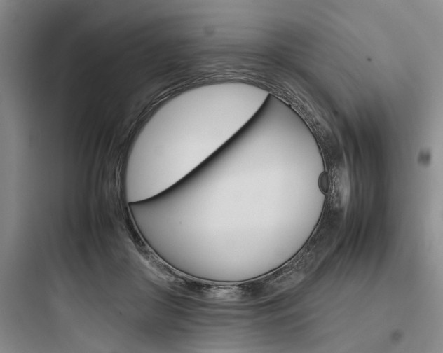 X0000097960410200803241046