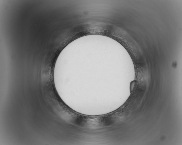 X0000097960411200803241046
