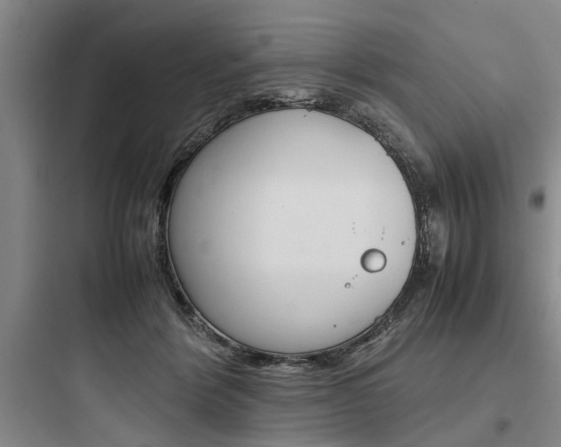 X0000097960412200803241046