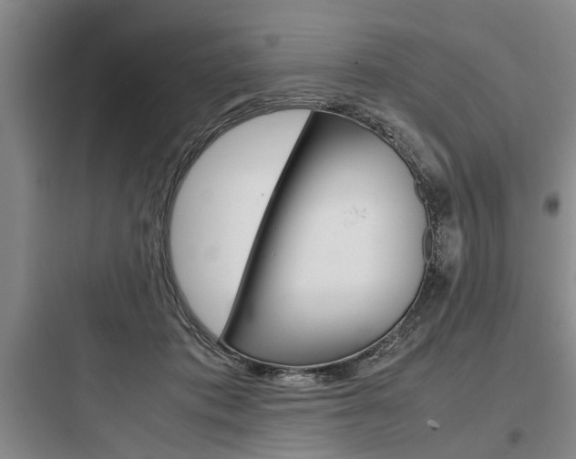 X0000097960413200803241046
