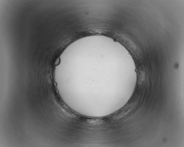 X0000097960414200803241046
