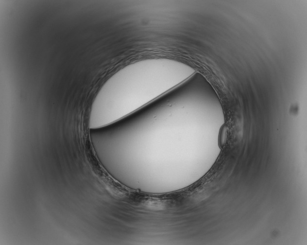 X0000097960416200803241046