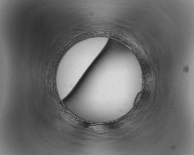 X0000097960417200803241046