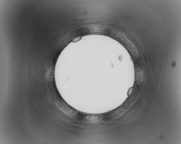X0000097960419200803241046