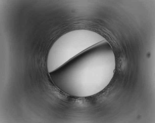 X0000097960420200803241046