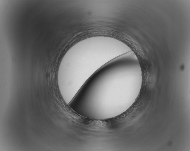 X0000097960421200803241046