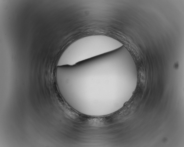 X0000097960422200803241046