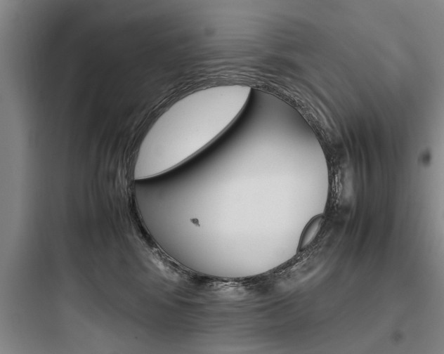 X0000097960424200803241046