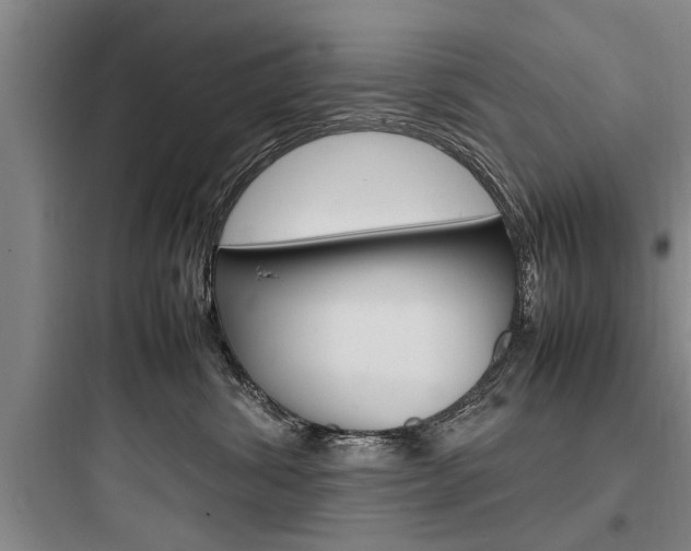 X0000097960428200803241046