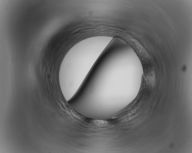 X0000097960429200803241046