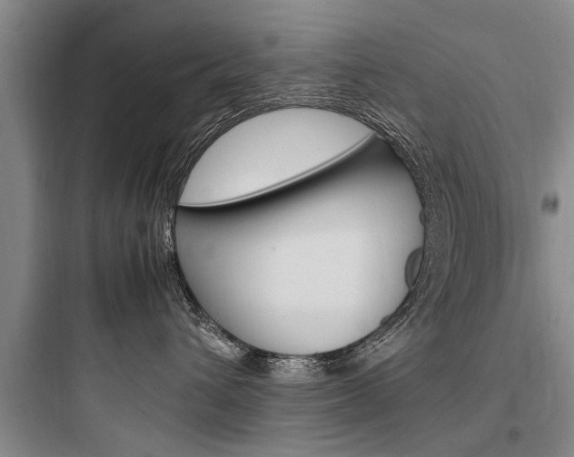 X0000097960432200803241046