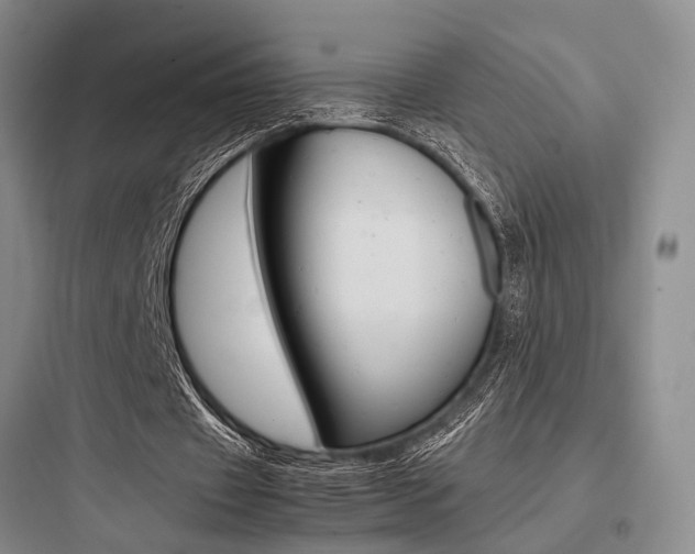 X0000097960433200803241045