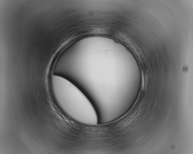 X0000097960435200803241045