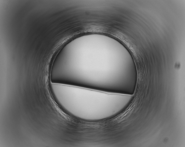 X0000097960437200803241045
