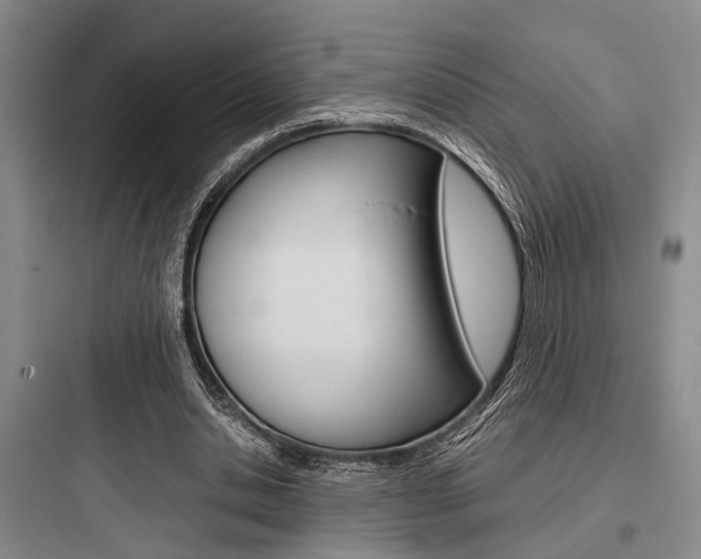 X0000097960438200803241045