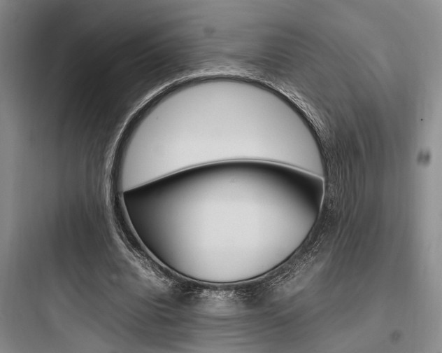 X0000097960440200803241045