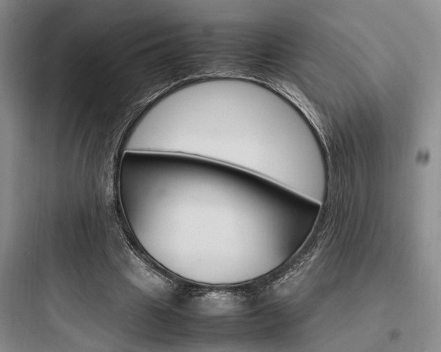 X0000097960441200803241045