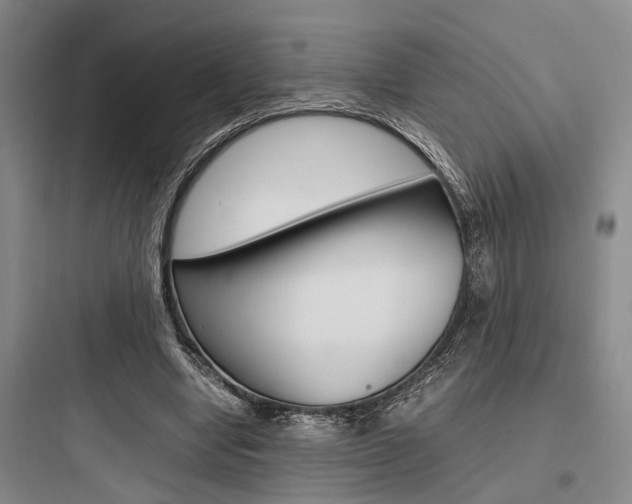 X0000097960442200803241045