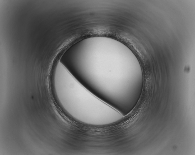 X0000097960443200803241045