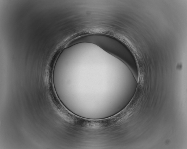 X0000097960444200803241045