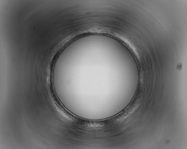 X0000097960445200803241045