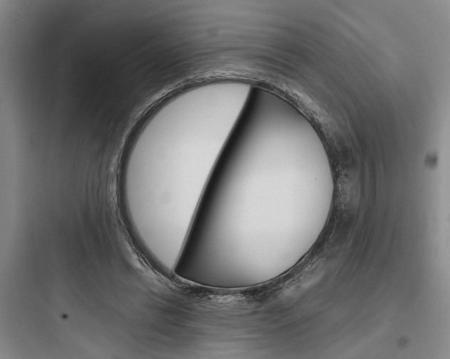X0000097960446200803241045