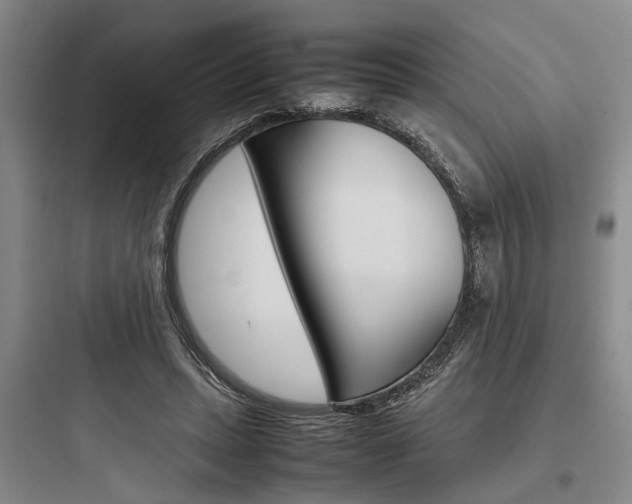 X0000097960447200803241045