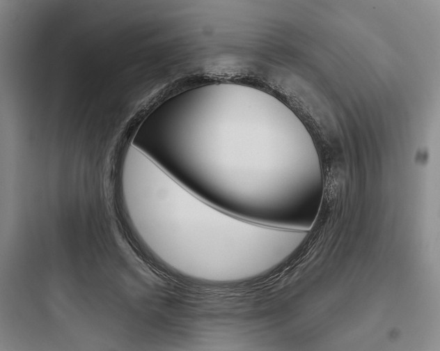 X0000097960448200803241045