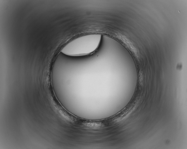 X0000097960449200803241045
