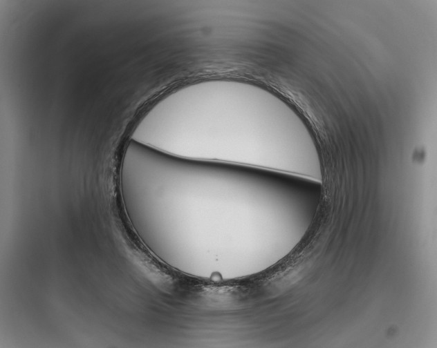 X0000097960450200803241045