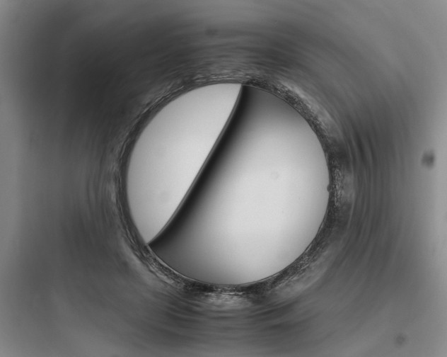 X0000097960451200803241046