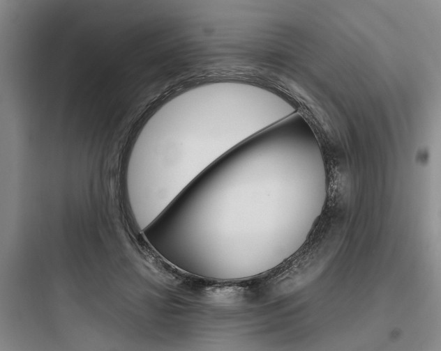 X0000097960452200803241046