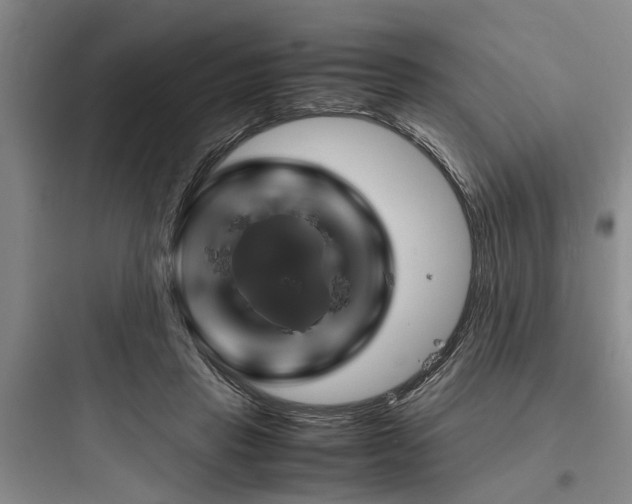X0000097960453200803241046