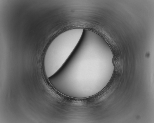 X0000097960454200803241046