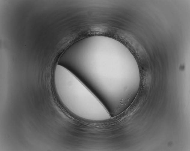 X0000097960455200803241046