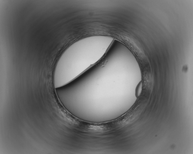 X0000097960457200803241046