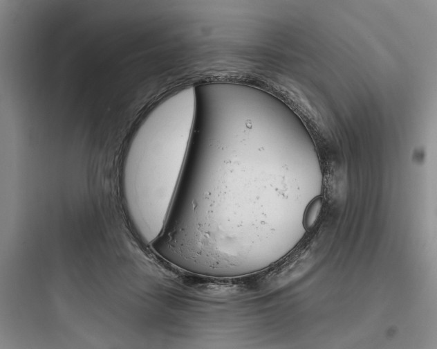 X0000097960458200803241046