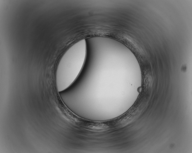 X0000097960459200803241046