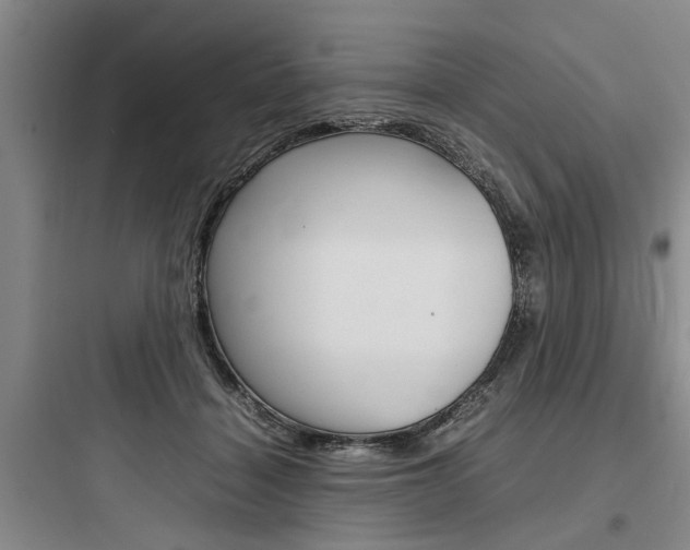 X0000097960460200803241046