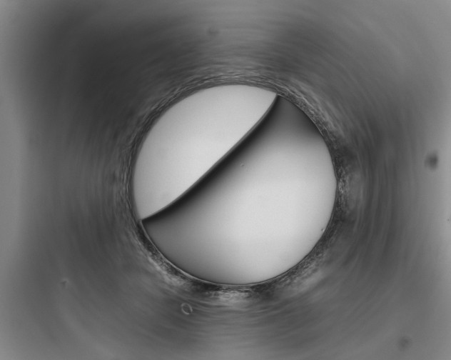 X0000097960462200803241046