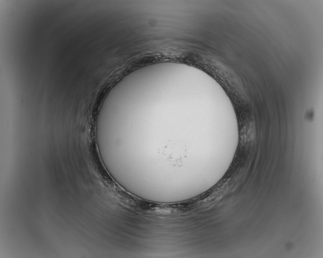 X0000097960464200803241046
