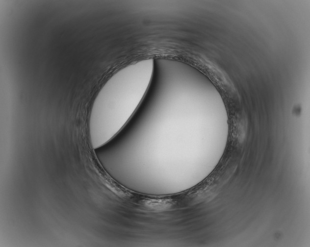X0000097960465200803241046