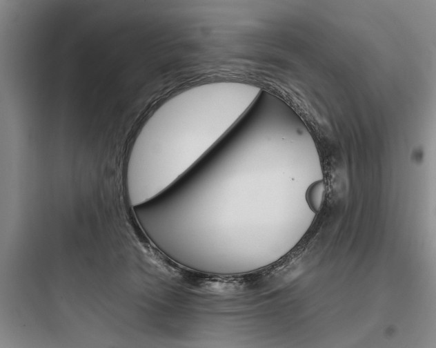 X0000097960466200803241046