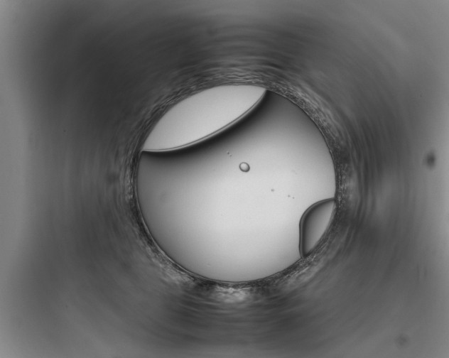 X0000097960469200803241046