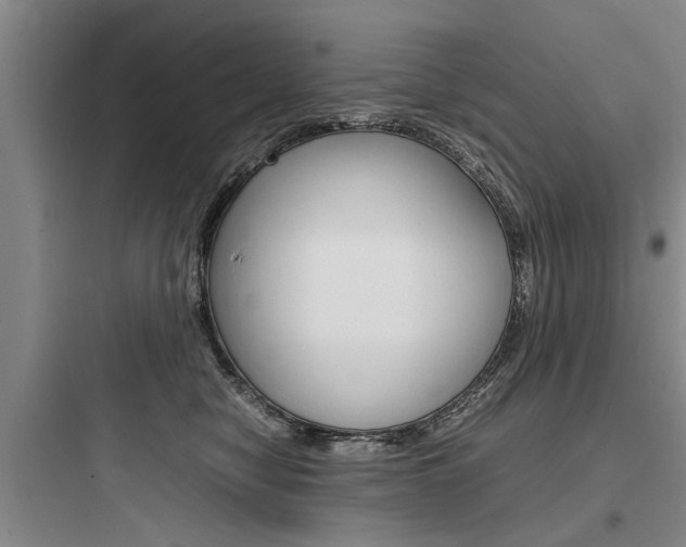X0000097960470200803241046