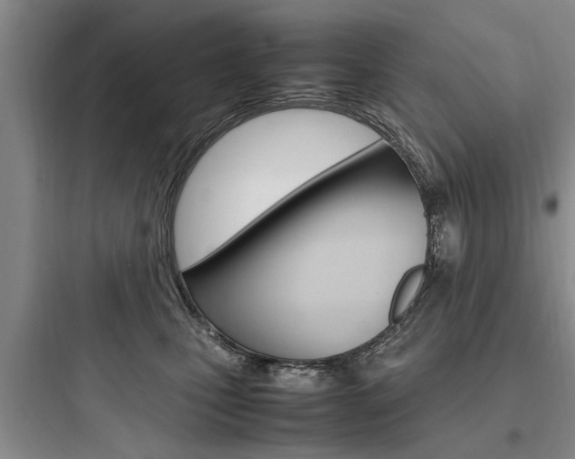 X0000097960471200803241046