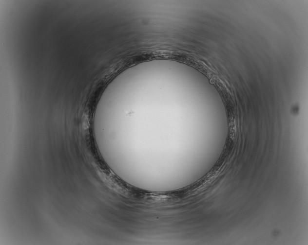 X0000097960472200803241046
